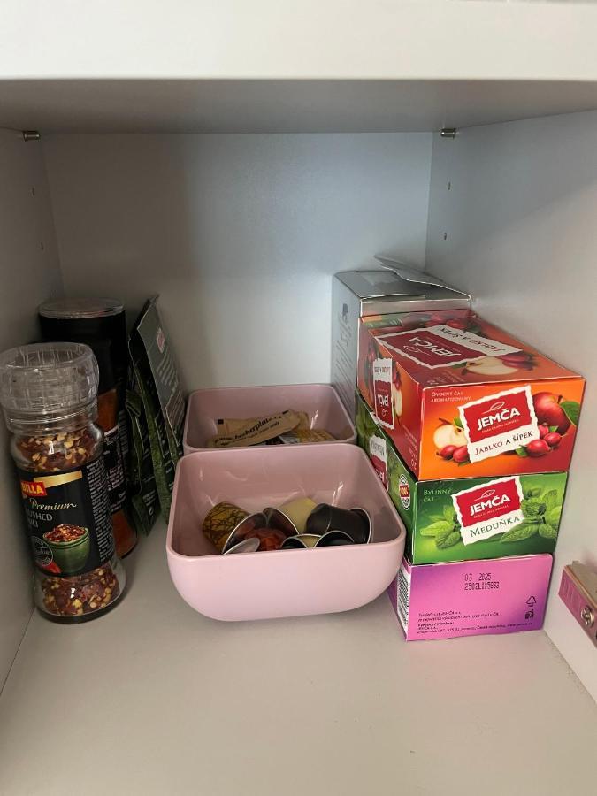 Apartman Plesivec U Sjezdovky Abertamy Zewnętrze zdjęcie