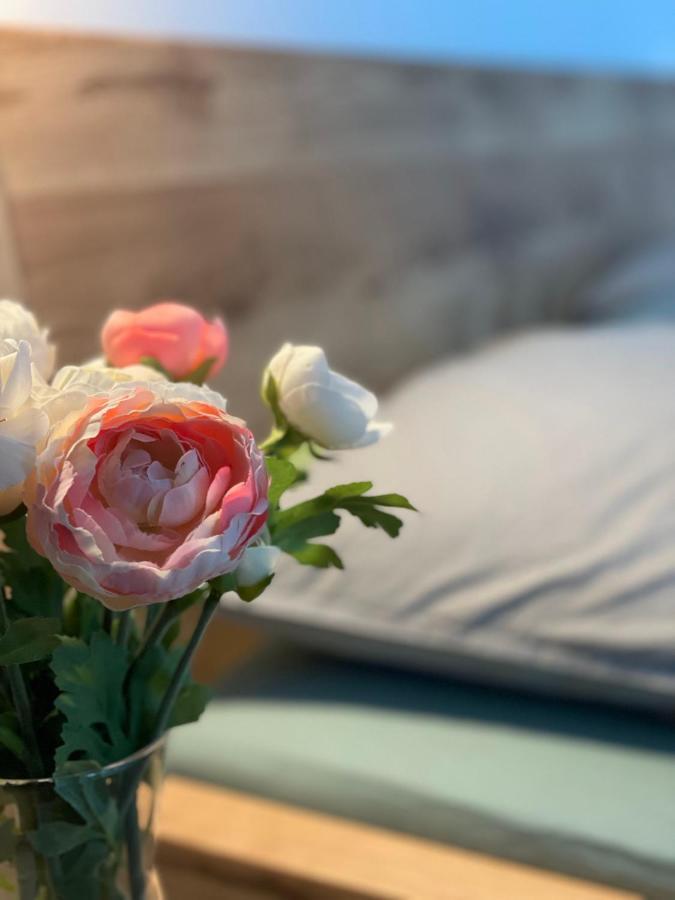 Apartman Plesivec U Sjezdovky Abertamy Zewnętrze zdjęcie